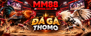 Đá Gà Thomo MM88